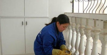 誠信家政服務部,全心全意的保潔服務讓生活一塵不染